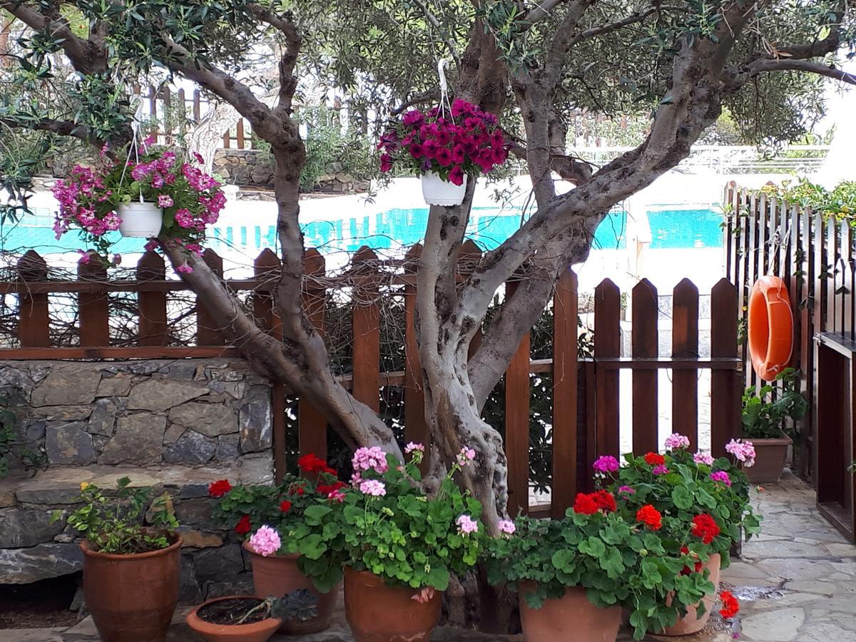 Ferma Solaris Apartments Agia Fotia  Exterior foto